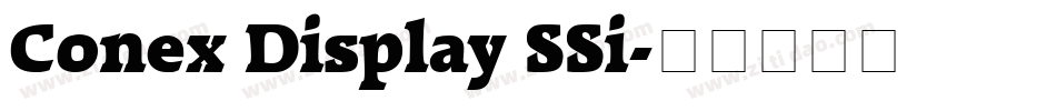 Conex Display SSi字体转换
